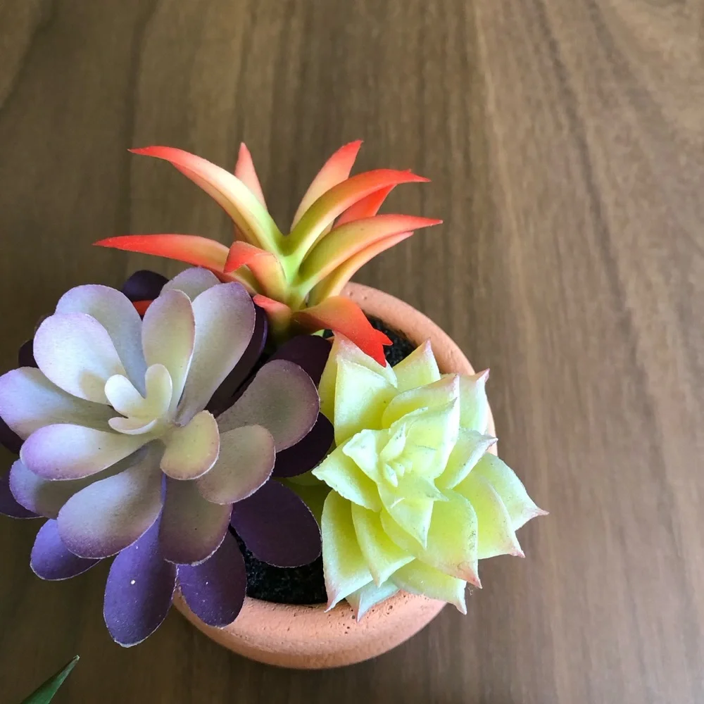 Small artificial succulents